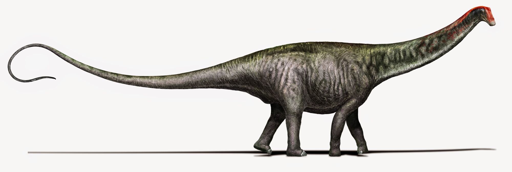 the land before time brontosaurus