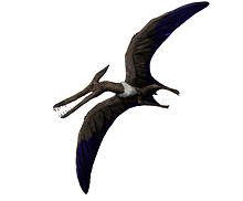 Ludodactylus