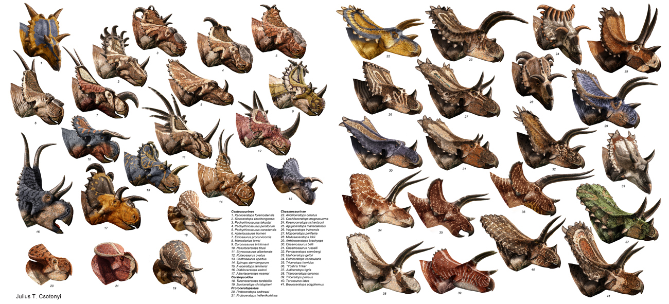 ceratops types