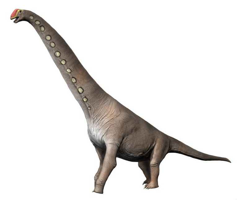 dinosaur with a long neck name