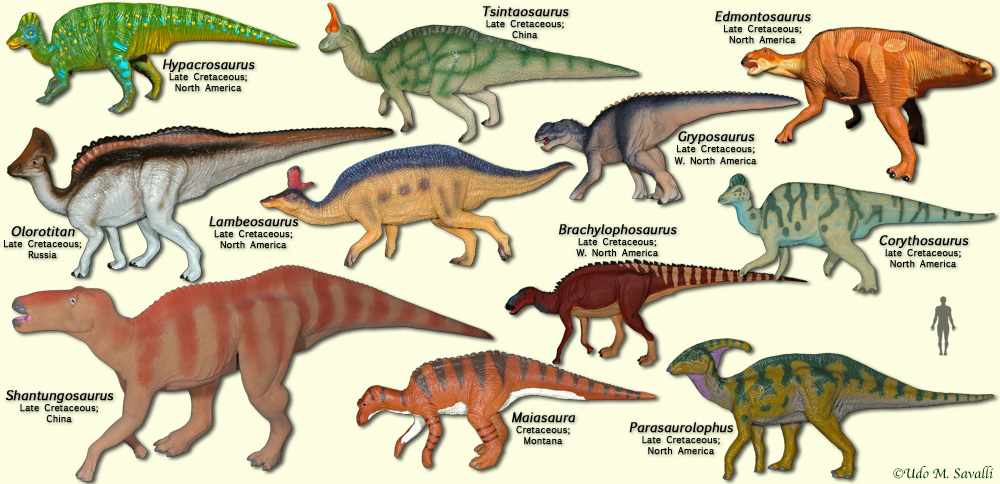 the land before time dinosaur types