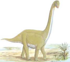 Dinosaur-images-057-resize