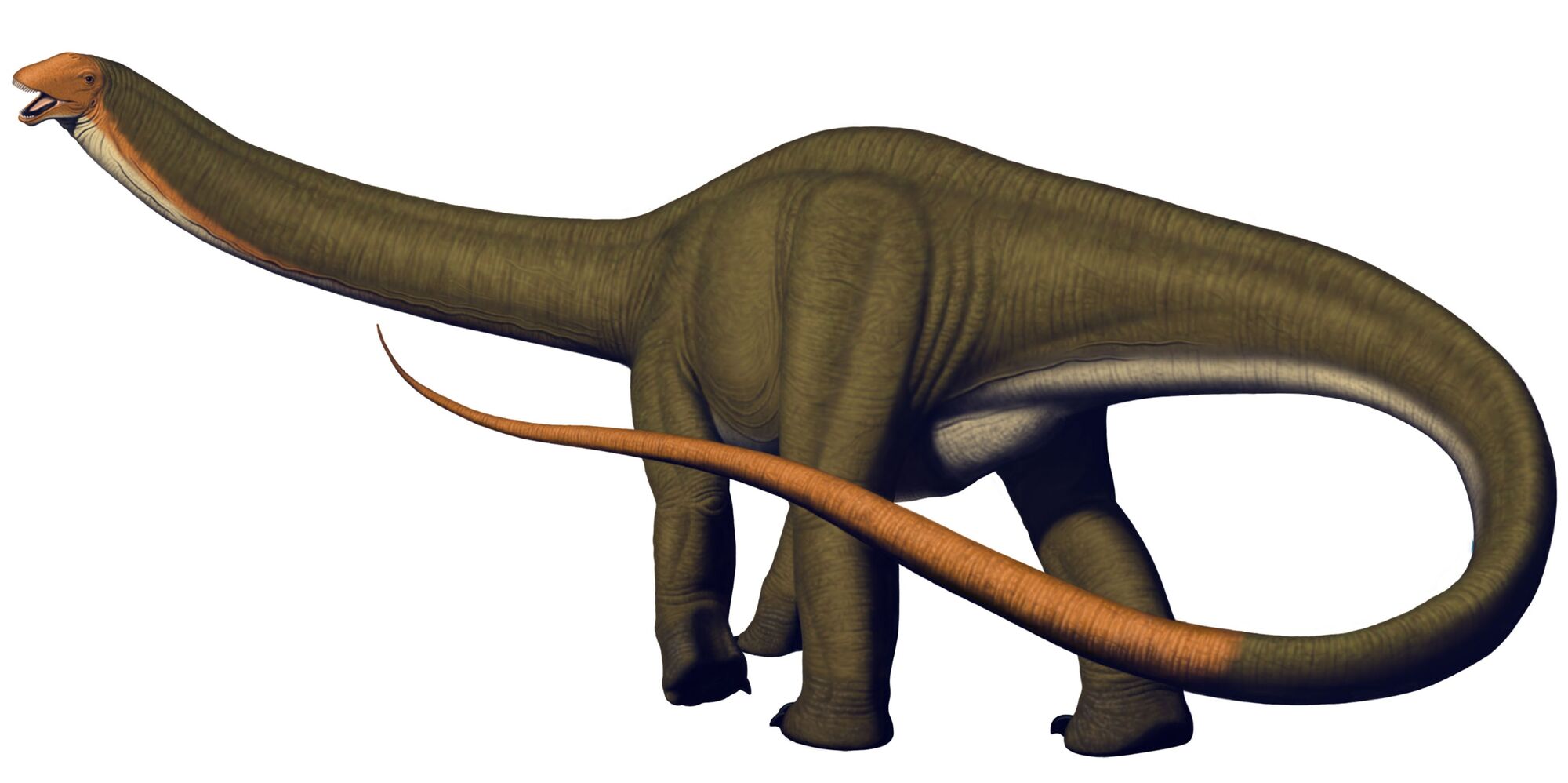 the land before time brontosaurus