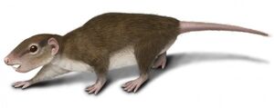 Multituberculate