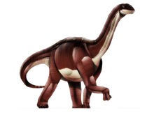 Opisthocoelicaudia