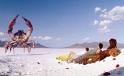 Images-1