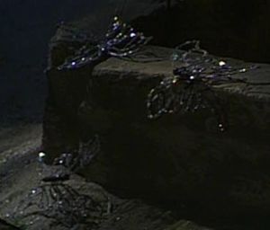 AltrusianMoths