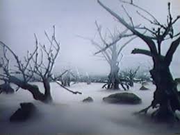 Images-0