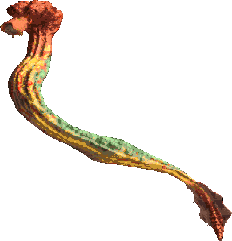 Great Worm Drar