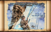 Widescreen book1