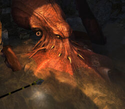 Giant Squid