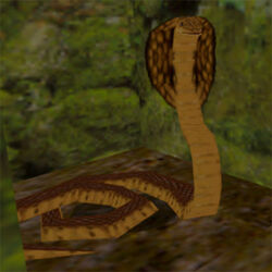 Cobra
