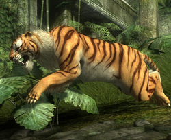 Tiger