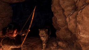 Rise-LeopardEmergesFromCave