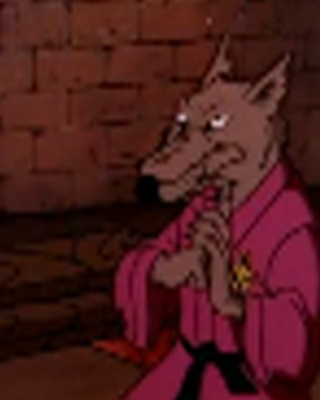 Splinter Las Ninja Tortugas Adolescentes Mutantes Wiki Fandom