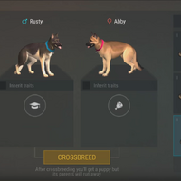 Dog Last Day On Earth Survival Wiki Fandom