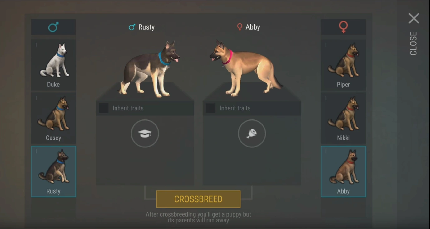 Dog Last Day on Earth Survival Wiki FANDOM powered by Wikia