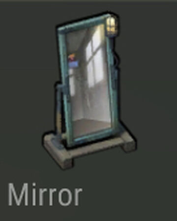 Mirror Last Day On Earth Survival Wiki Fandom