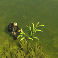 Sprout Last Day On Earth Survival Wiki Fandom