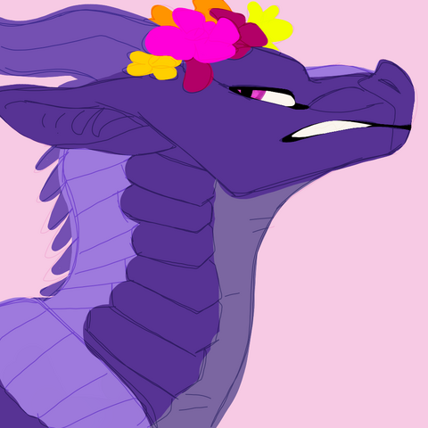 File:Jefficon.png