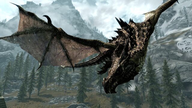 File:Dragon.jpg