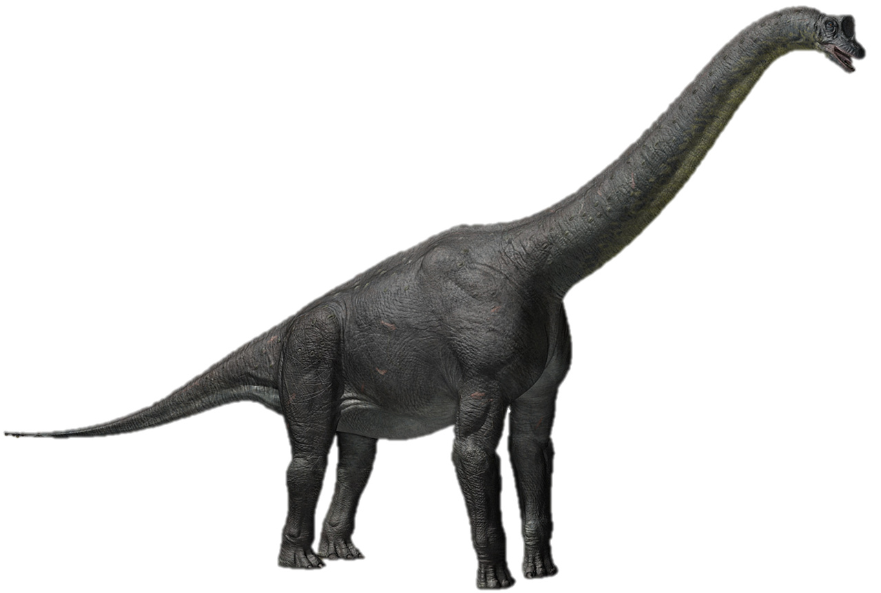 long herbivore dinosaur