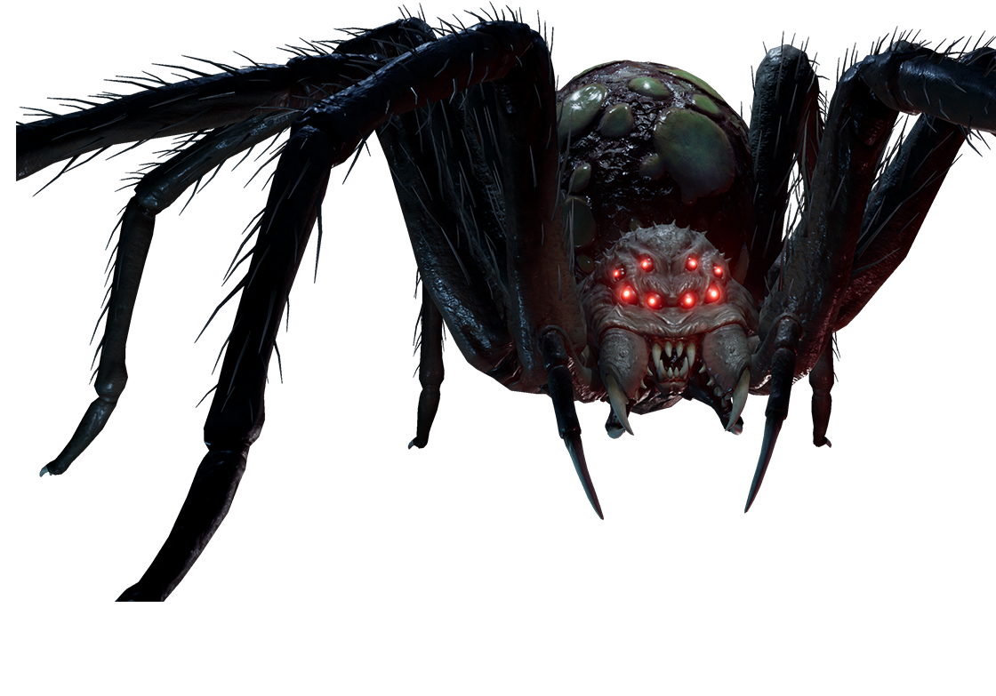 The Spider Last Year Wiki Fandom