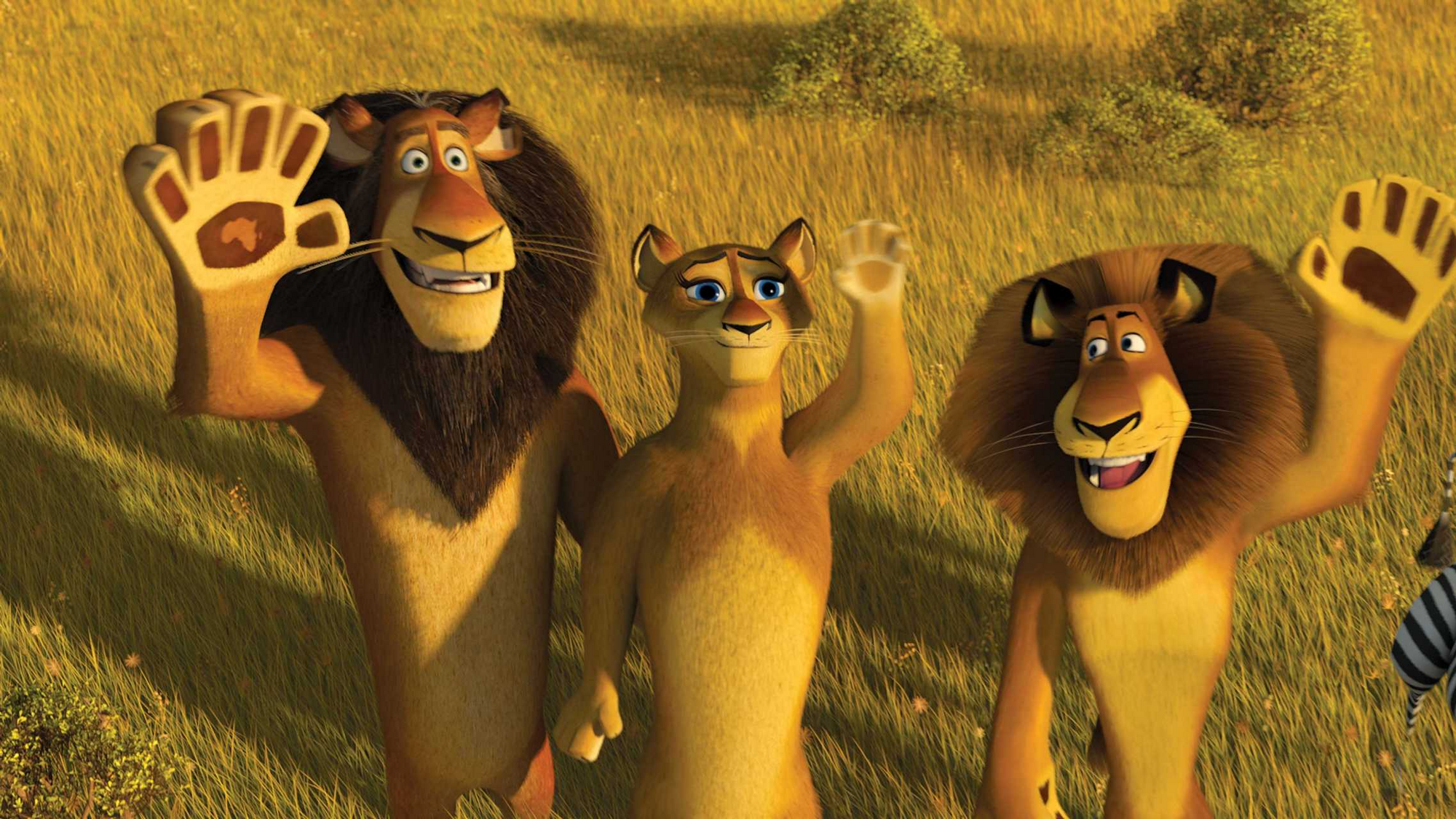 Lions Laurie's Madagascar adventure Wikia Fandom