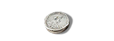 Silver coin