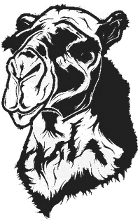 27e03bb5326e