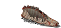 QDogsMeat