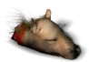 QGorbikHead