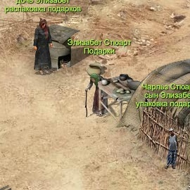 Элизабет Стюард
