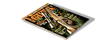 Magazine Rifles