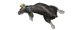 QRatKing