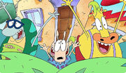 Rocko amigos