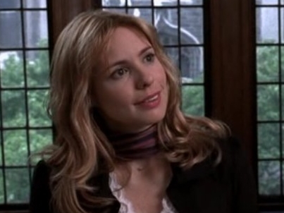 law and order criminal intent nicole wallace