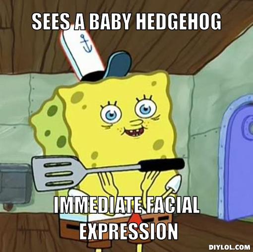 image spongebob face meme generator sees a baby hedgehog immediate