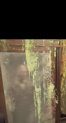 Artist (reflection)