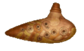 Flöte des Phantoms