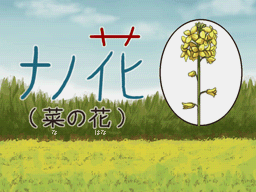PL1JP-W06antwort
