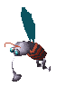 MosqAnim
