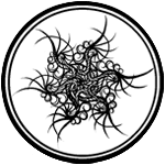 Schema