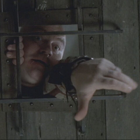 Fichier:1-Prisonnier chauve.jpg