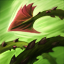 Zyra RacinesFixatrices