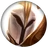 Kayle