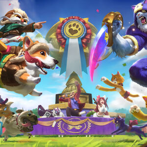 Cats Versus Dogs League Of Legends Wiki Fandom