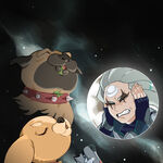 Cats Versus Dogs League Of Legends Wiki Fandom