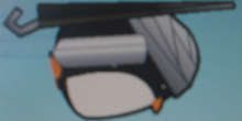 Penguin-0