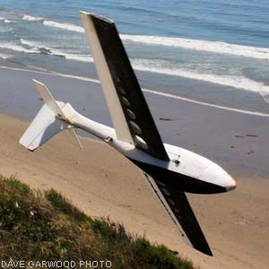 le fish rc glider